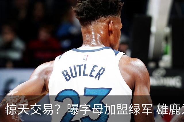 惊天交易？曝字母加盟绿军 雄鹿为布朗寻找第三方